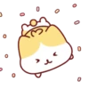 Cute Kitten 🐱 20