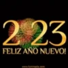 Feliz año Nuevo Mov ️ 26