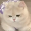 Ramdon cute ️ 26