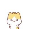 Cute Kitten 🐱 23