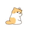 Cat baby lovely 20