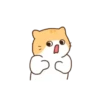 Cat baby lovely 22