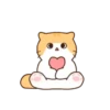 Cat baby lovely 23