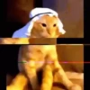 michis .mov 30