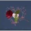 Flores magicas demovimiento #1 21