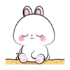 Vanilla Rabbit MOV. 24