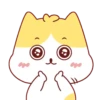 Cute Kitten 🐱 25
