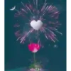 Flores magicas demovimiento #1 23