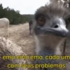 Memes grupo 7
