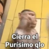 Cierra el Purísimo qlo