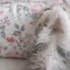 🐈 Gatitos 🐈‍⬛ 7