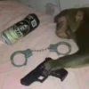 Monos y changuitos 11 🦧🦍🐒 17