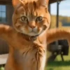 Dancing Kittens TikTok 🐱🎶🐈‍⬛ 8