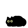 Gatito Negro 🐈‍⬛ 6