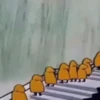 Picapau 10