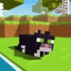 Minecraft GIFs 5