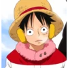⛵One Piece GIF 1👒 15