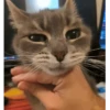 Animales divertidos 🐾 9