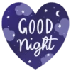 Good Night 29