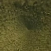 💥 earth zoom out 🔥 13