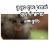 Monos 🐵🙉 6