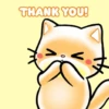 THANK YOU!