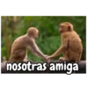 Monos 🐵🙉 10