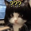 ???