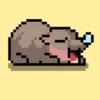 ⋅˚₊‧ ଳ ‧₊˚  Meme Pixel 16