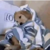 Doguinhos + preguiça + frio 13