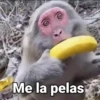 Me la pelas