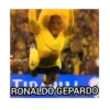 K m_zemo_22 RONALD RONALDO GEPARDO
