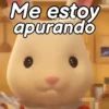 Ternurines frases pal chat 🐰💖 8