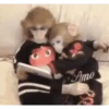 Macaquinhos gif 8