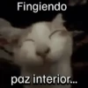 Fingiendo paz interior...