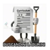 VIKTOR Curriculum BUSCANDINI LABURINI