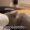 Procesando...
