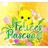 PASCUA FELIZ 🦋🐣🦋 12