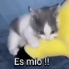 Es mío !!