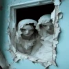 Creepy kids👶2🇲🇽Movi 5