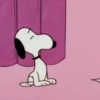 Snoopy 🤍 13