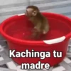 Kachinga tu madre