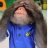 Monos traviesos  8
