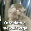 Otro dato q me vale vrga
