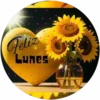 Lunes💞1🇵🇪Movi 7