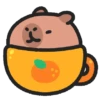 🐹°CapiBara Cute°🐹 5