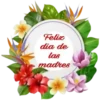 Feliz día de la Madre💞7🇵🇪Movi 7