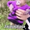 Jajajajajaja