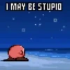 I MAY BE STUPIO