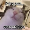 Pura paz... cero opinión